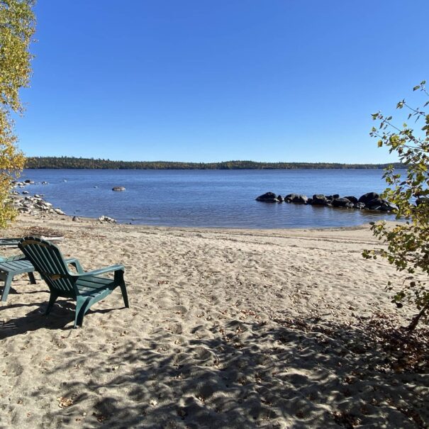 6694DDB6-6E9B-436C-8BC8-FA12198F3BFF (1)