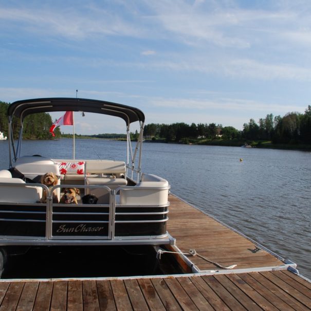 Point Carniel Lodge Booking (12)