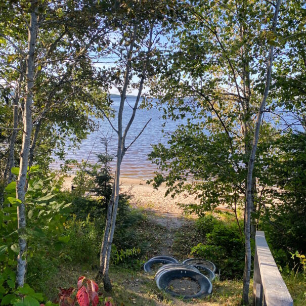 156F3731-2051-4277-BA58-24030B69FA2B