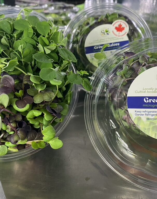 2BF49A60-ED28-44FB-86B9-947D0D82FDDA_1_105_c