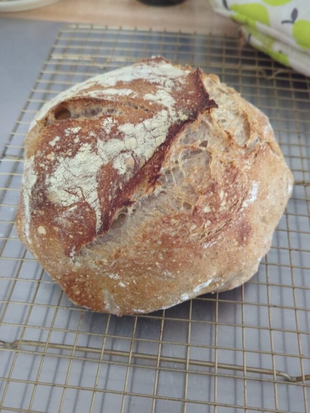 7A178C86-3D5A-4016-ACE6-152E5E38F3BB_1_105_c